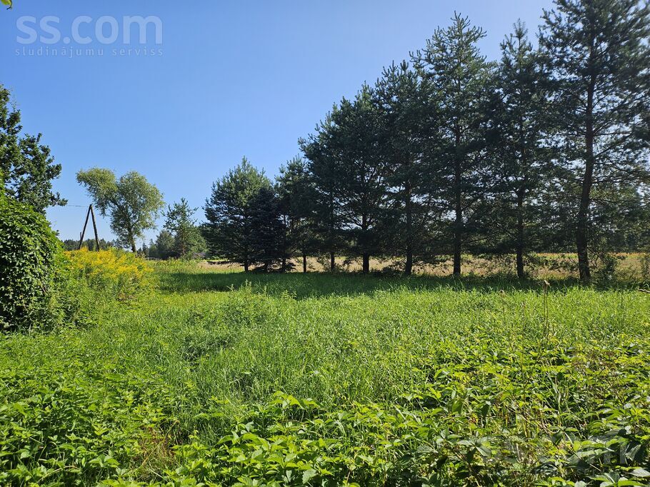 Jaunzelmeņi, Brankas, Jelgava un raj., Cenu pag. — zeme