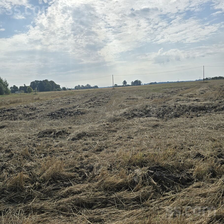 Nau, Šalkas, Jelgava un raj., Jaunsvirlaukas pag. — zeme