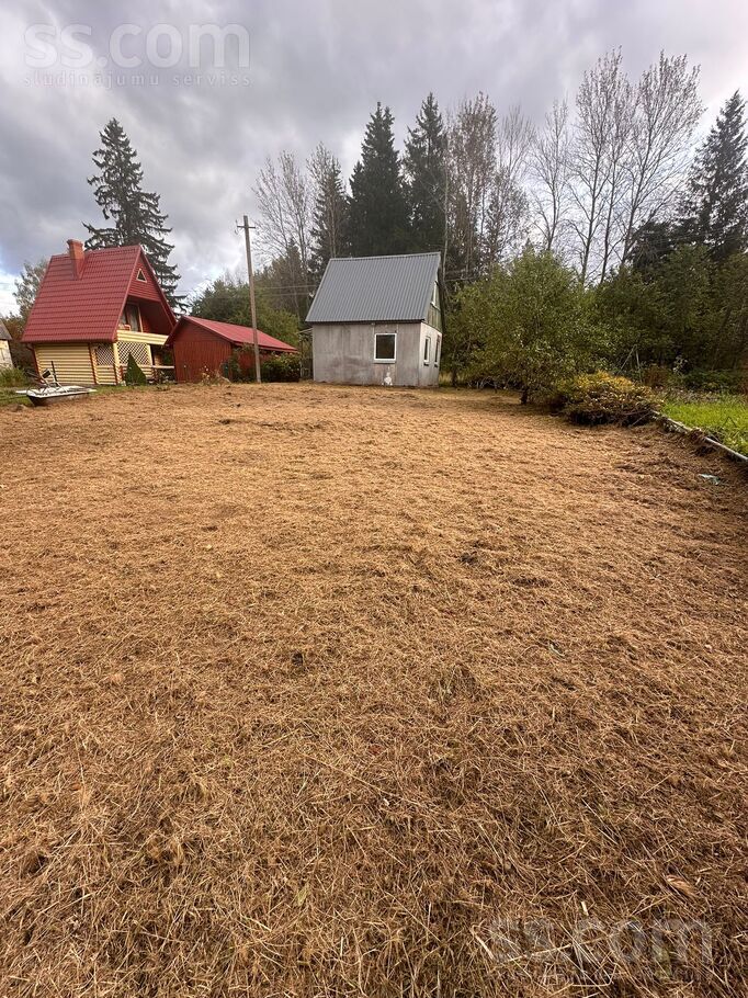 Dzintārs dārzs, Rēzekne un raj., Rēzekne — maja