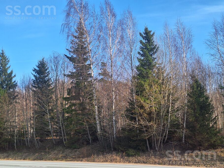 Bez nosaukuma, Eikaži, Rīgas rajons, Krimuldas pag. — zeme