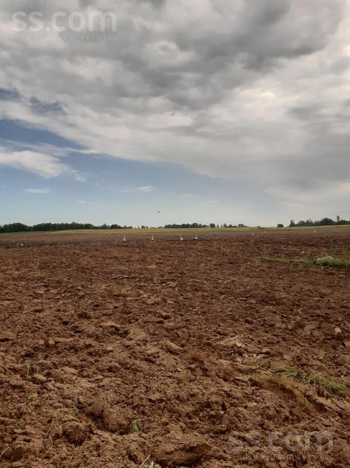 Ozoļi-1, Ozoļi-2, Červonka, Daugavpils un raj., Vecsalienas pag. — zeme