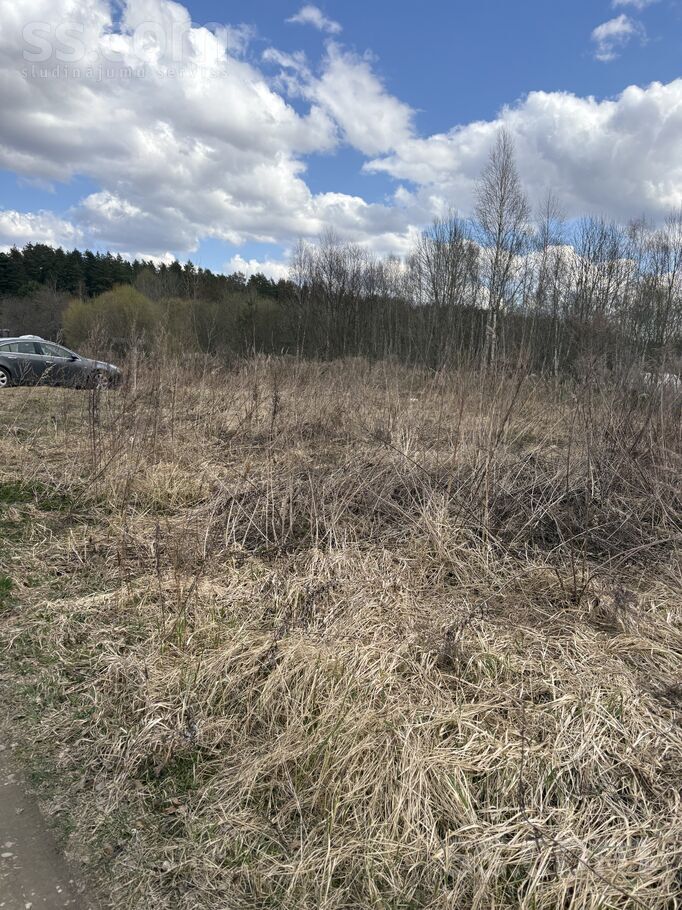 D/s liesma 108, Brodi, Jēkabpils un raj., Ābeļu pag. — zeme