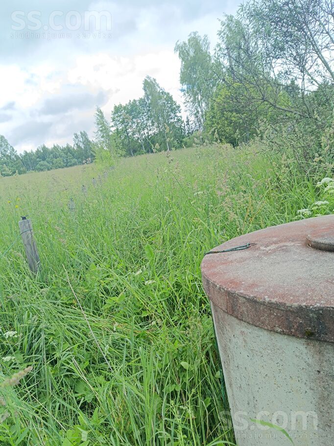 Dārziņš 72, Salas, Madona un raj., Praulienas pag. — maja