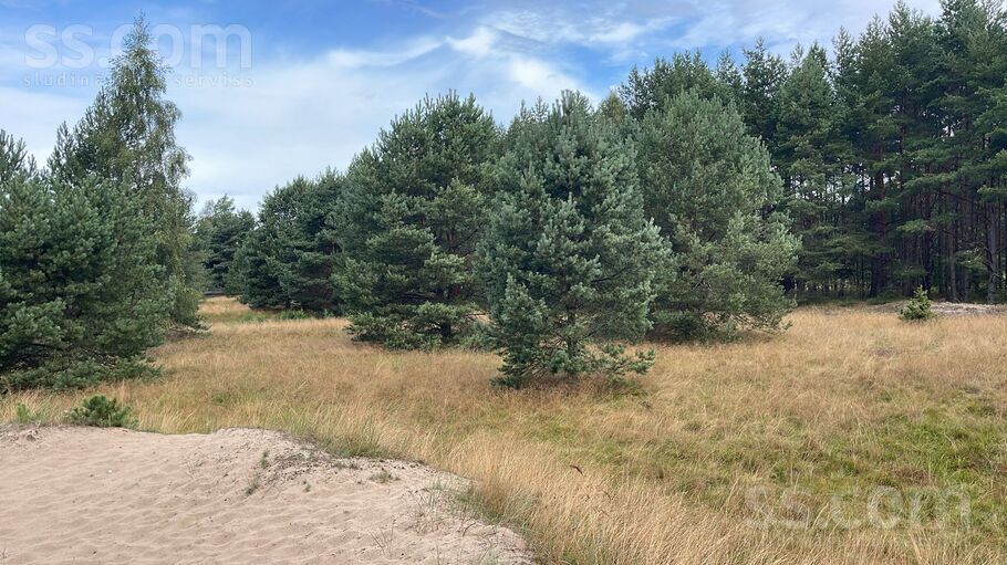 Lōrm nītõd, Sīkrags, Talsi un raj., Kolkas pag. — zeme