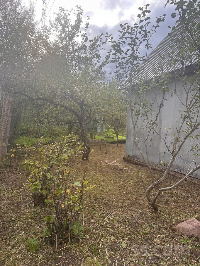 Dzintārs dārzs, Rēzekne un raj., Rēzekne — maja