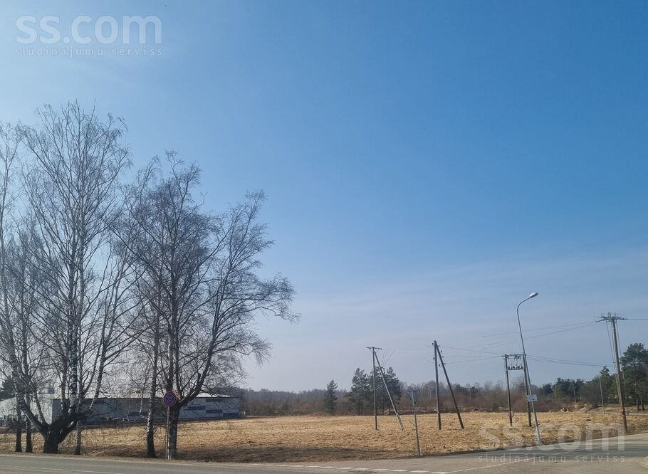 Purva iela 1a, Tukums un raj., Tukums — zeme