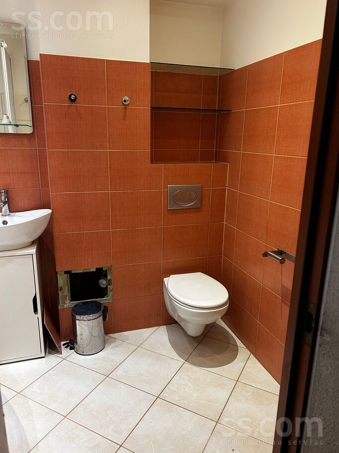 Mežāžu 4, Uzvara, Bauska un raj., Gailīšu pag. — dzivoklis