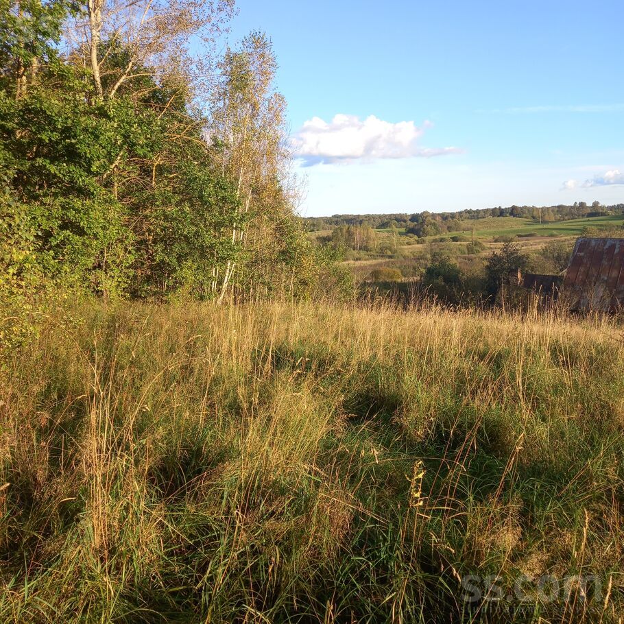 Gaidas, Daugavpils un raj., Vecsalienas pag. — zeme