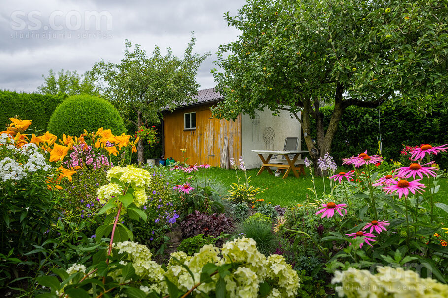 Ābeļu iela 6, Tušķi, Jelgava un raj., Līvbērzes pag. — maja