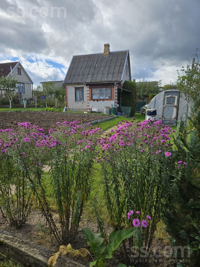Upes, Mičurinietis, Daugavpils un raj., Kalkūnes pag. — maja