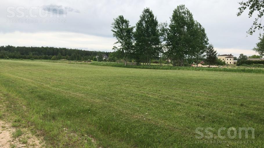 Kalnezera iela, Tīnūži, Ogre un raj., Ikšķiles l. t. — zeme