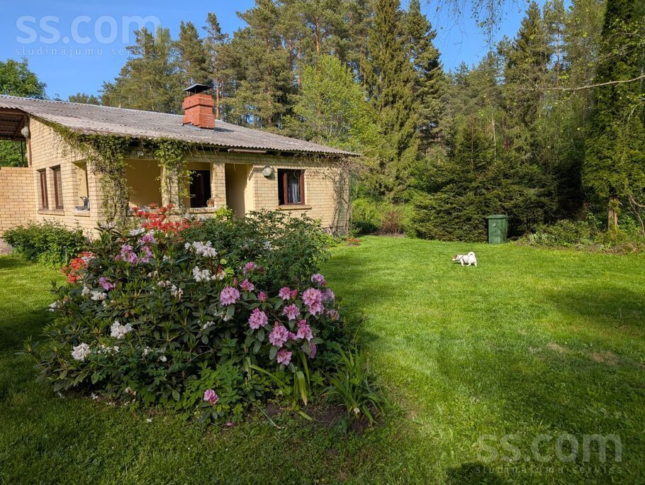 Aļņu iela 24, Liepaine, Rīgas rajons, Saulkrastu l. t. — maja