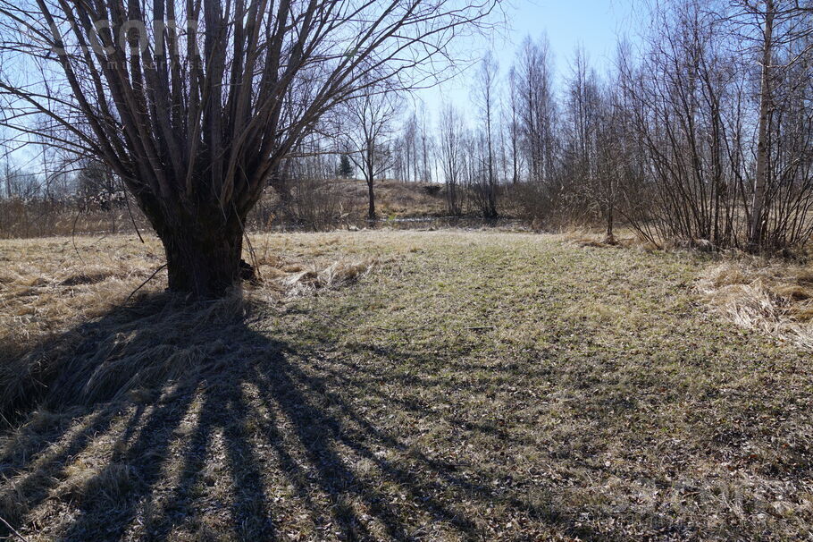 Vītolu, Limbaži un raj., Salacgrīva — zeme