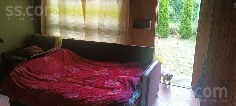 D/b Saulītes 153, Izvalta, Krāslava un raj., Izvaltas pag. — maja