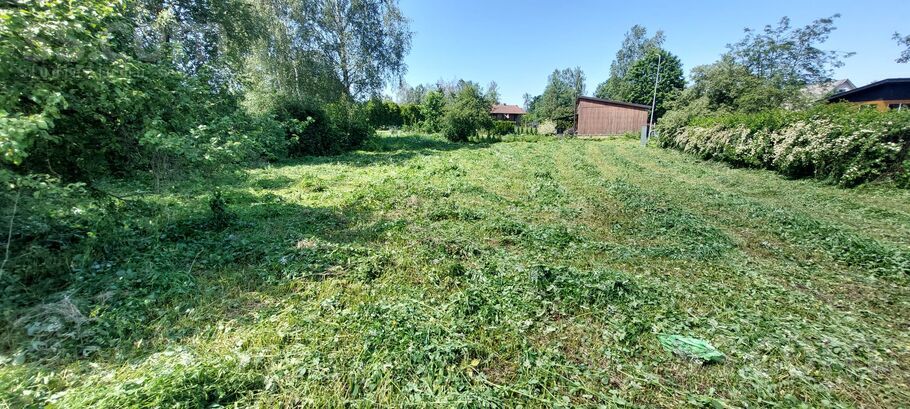 Dāboliņu iela 1, Rīgas rajons, Baloži — zeme