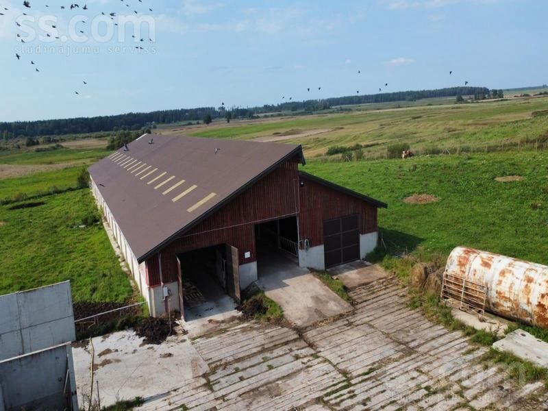 Kalna pupoli, Šengeida, Daugavpils un raj., Skrudalienas pag. — telpa