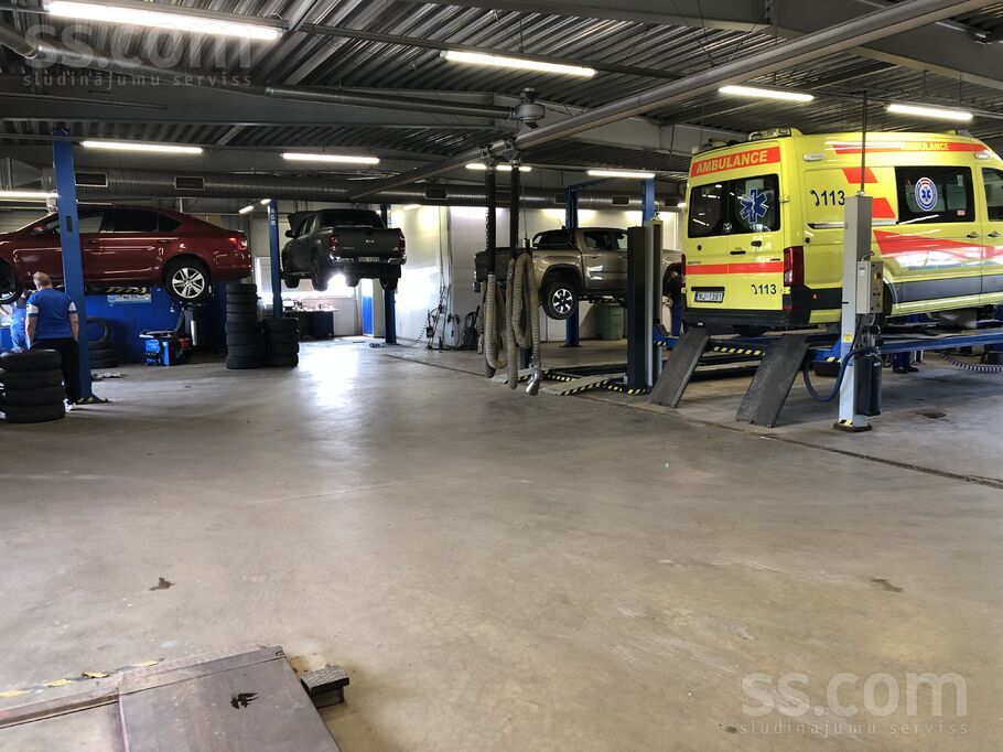 Zveigžņu iela 11, Ventspils un raj., Ventspils — telpa