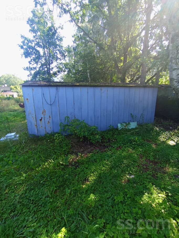 Putnu 7, Jūrmala, Kauguri — telpa