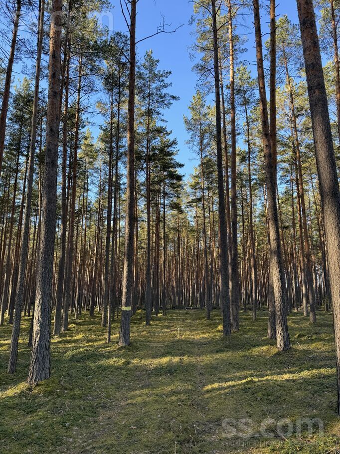 Lejas Dižmalas, Ādaži, Rīgas rajons, Ādažu nov. — zeme