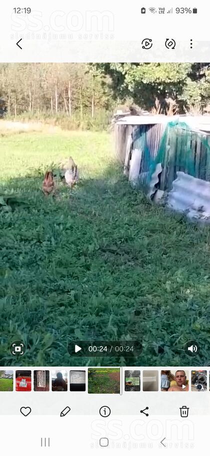 11 13, Vocīši, Rēzekne un raj., Pušas pag. — zeme