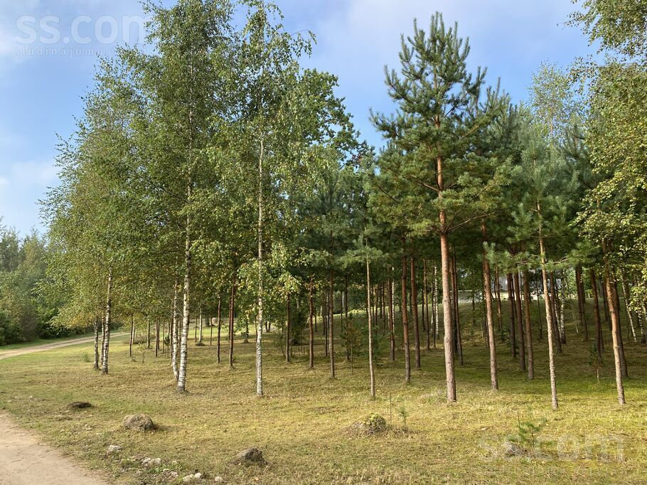 Stūriņi, Ķekava, Rīgas rajons, Ķekavas pag. — zeme