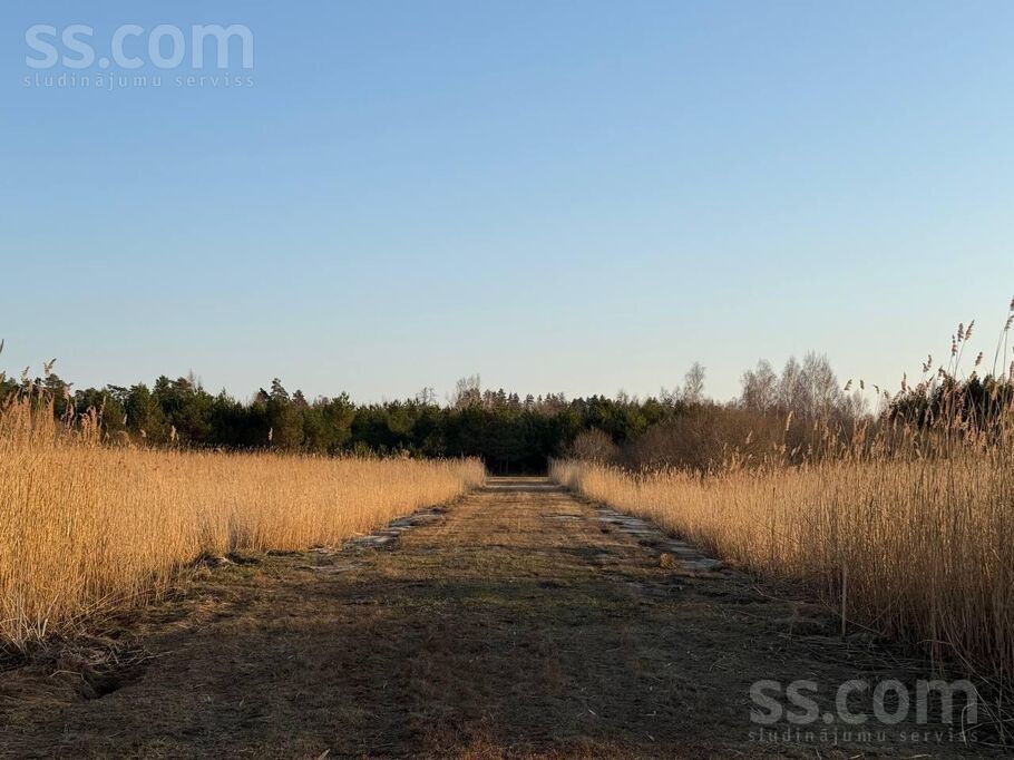 Ezerziedi, Trenči, Rīgas rajons, Babītes pag. — zeme