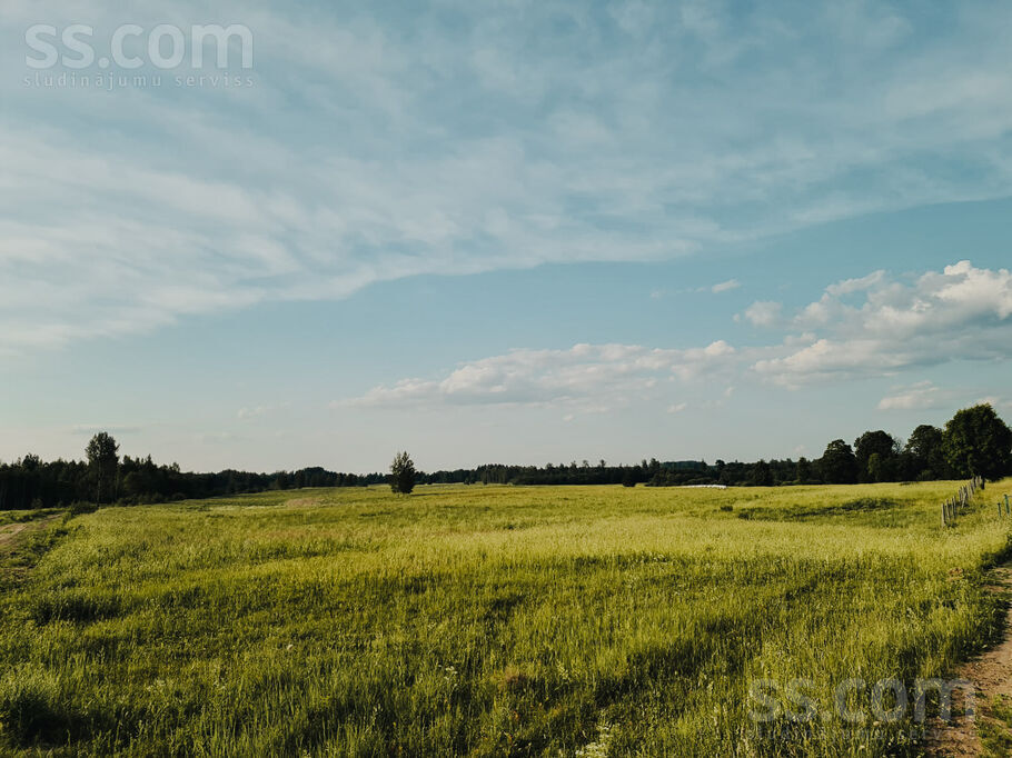 Saules, Vurpuļi, Ludza un raj., Nirzas pag. — zeme