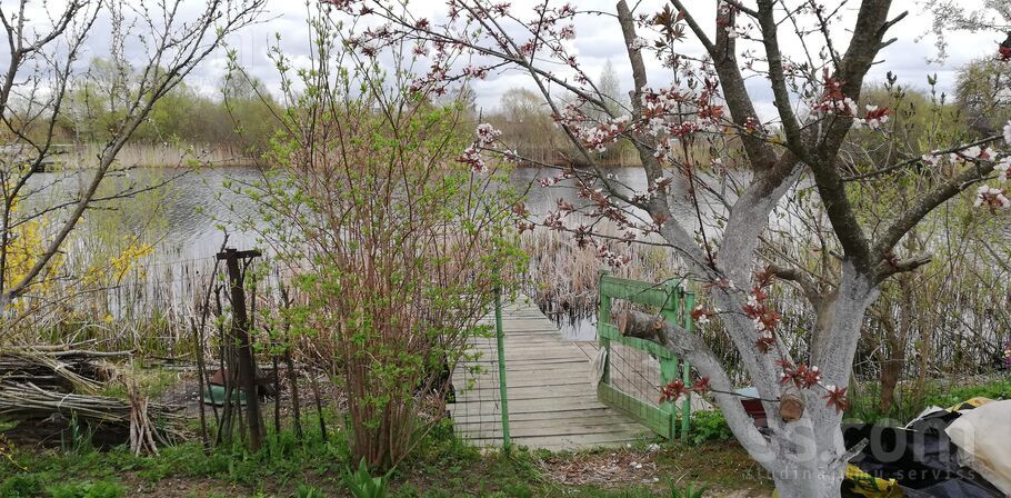 Lauku teritorija 86, Jelgava un raj., Kalnciems — maja