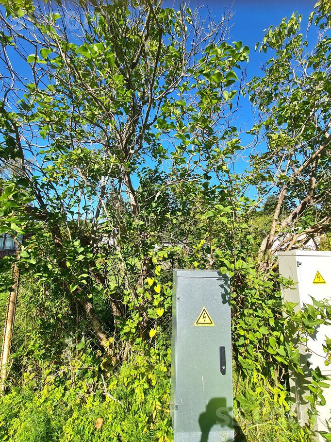 Īrisu 9, Skulte, Limbaži un raj., Skultes pag. — zeme