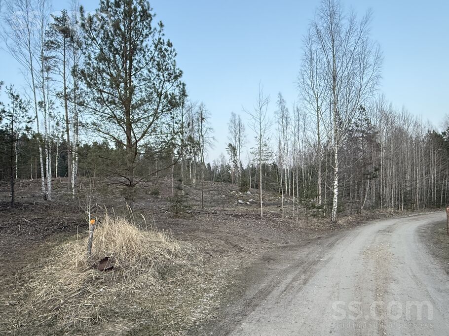 Ievziedlejas, Kangari, Rīgas rajons, Ropažu nov. — zeme