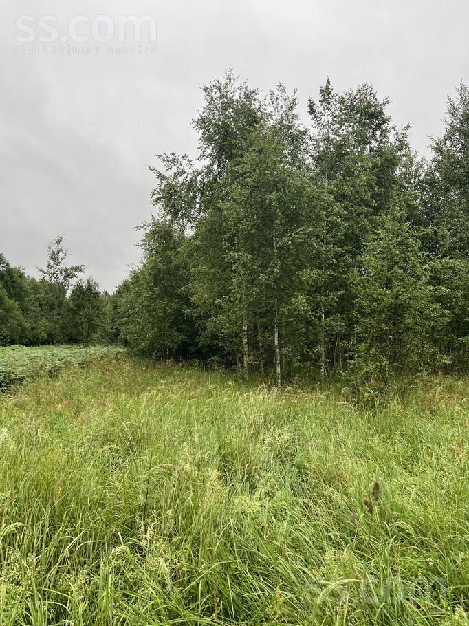 Birzgale, Ogre un raj., Birzgales pag. — mezs