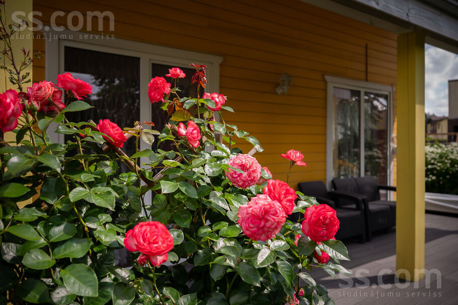 Cidoniju iela 13, Dreiliņi, Rīgas rajons, Stopiņu nov. — maja