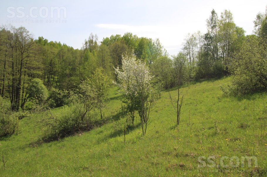 Kāši-Ventas, Daugavpils un raj., Medumu pag. — zeme