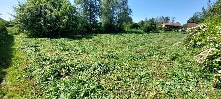 Dāboliņu iela 1, Rīgas rajons, Baloži — zeme