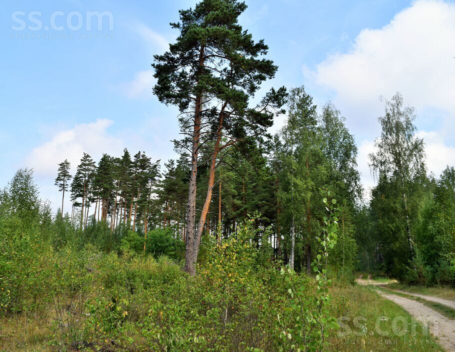 Kociņi, Kadaga, Rīgas rajons, Ādažu nov. — zeme