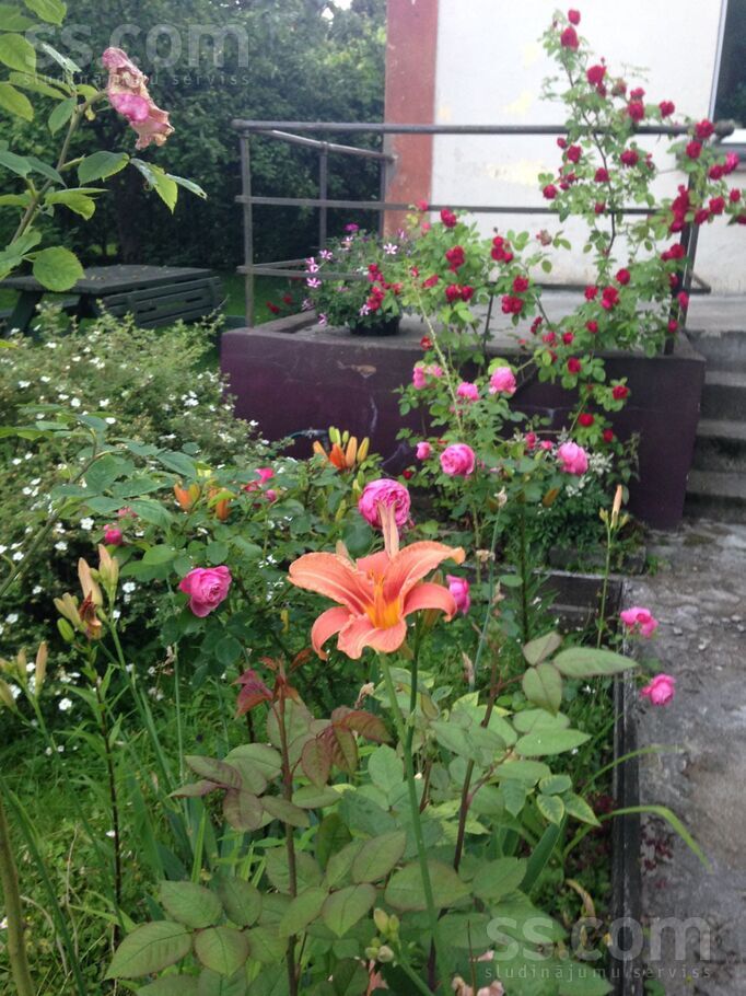 Kristapa 7a, Rīga — maja