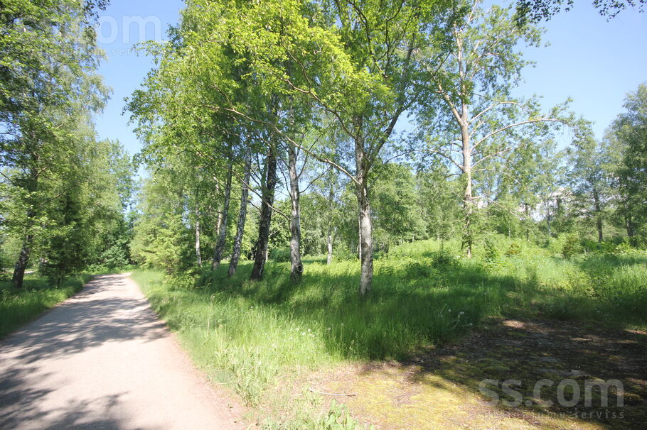 Apšu 1/3, Cimdenieki, Liepāja un raj., Grobiņas pag. — zeme