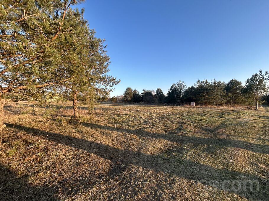 Lasenberga 8, Daugavpils un raj., Daugavpils — zeme