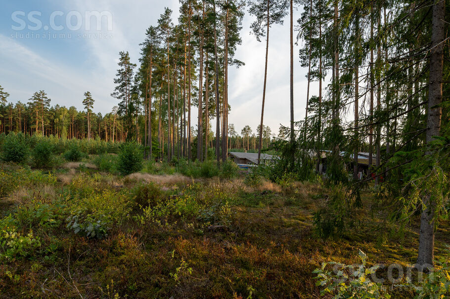Mellenes, Inčukalns, Rīgas rajons, Inčukalna nov. — zeme