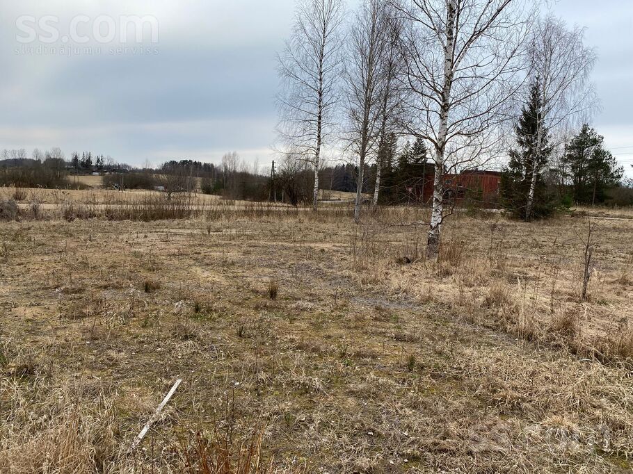 Liepu iela 7, Auciems, Cēsis un raj., Raiskuma pag. — zeme