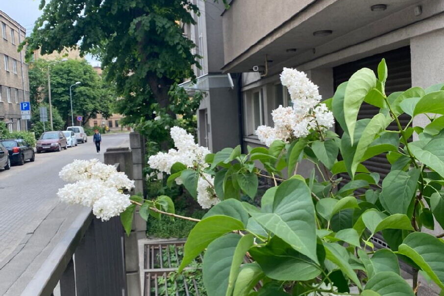 Indrānu iela 5, Rīga