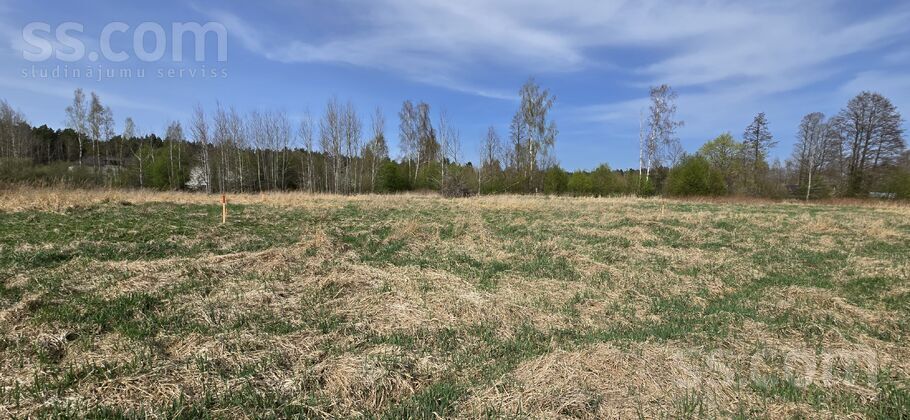 Romantiskās 10, Varkaļi, Rīgas rajons, Salas pag. — zeme