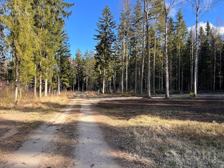 Bērzu iela 14, Rīgas rajons, Saulkrasti — zeme