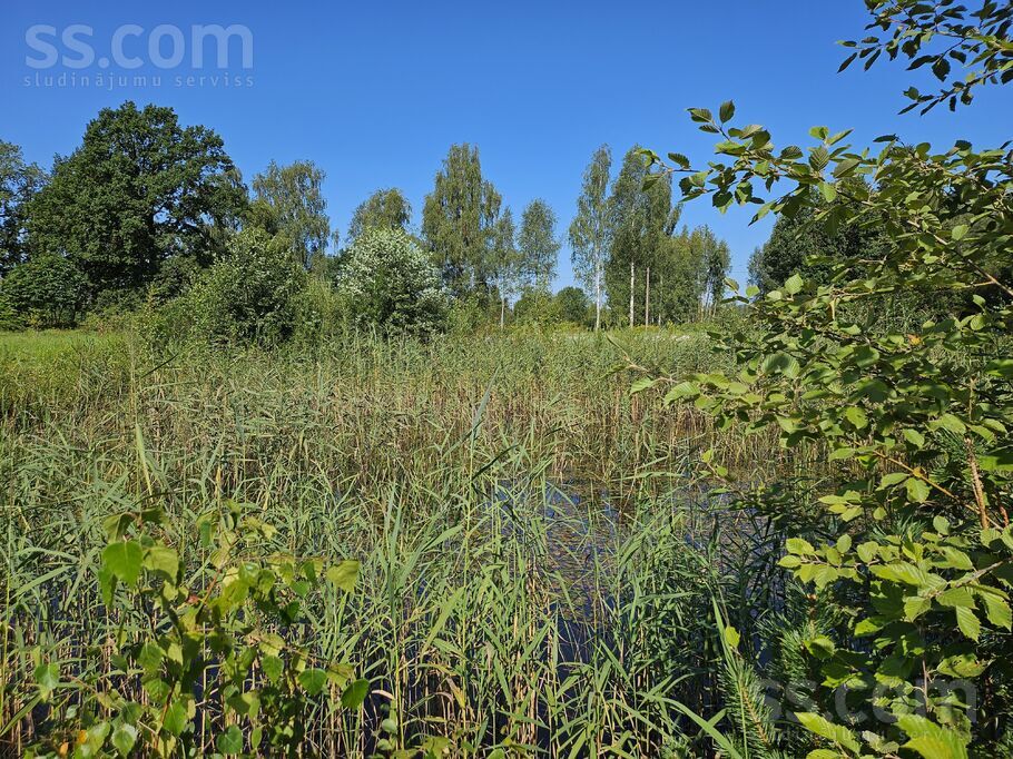 Jaunzelmeņi, Brankas, Jelgava un raj., Cenu pag. — zeme