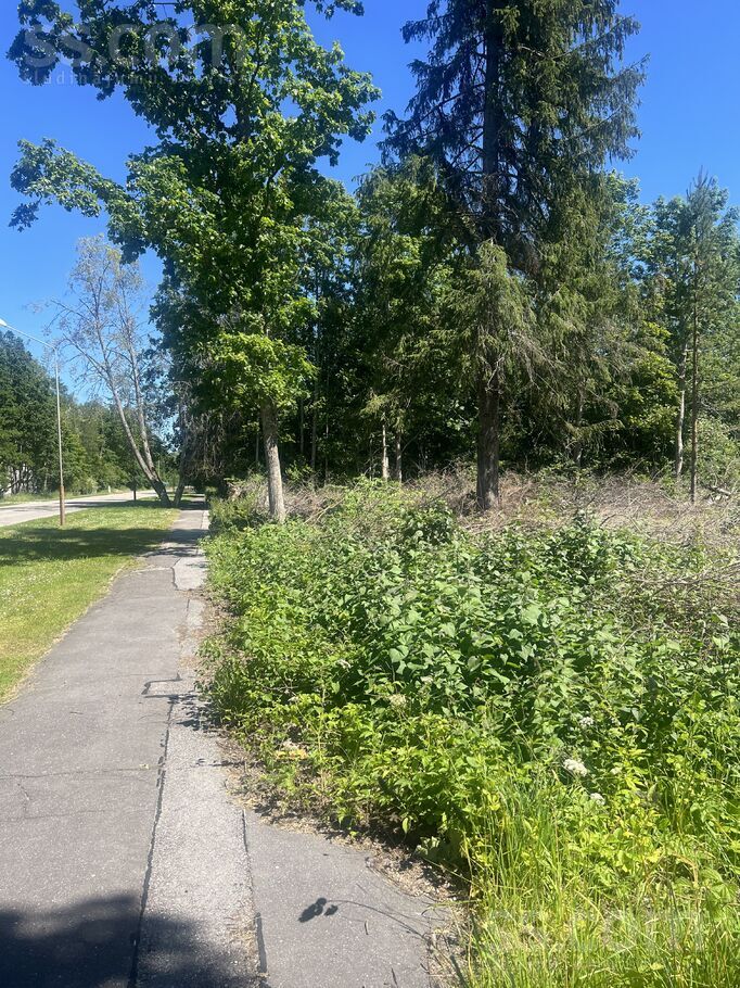 Tūristu iela 8, Jūrmala — zeme