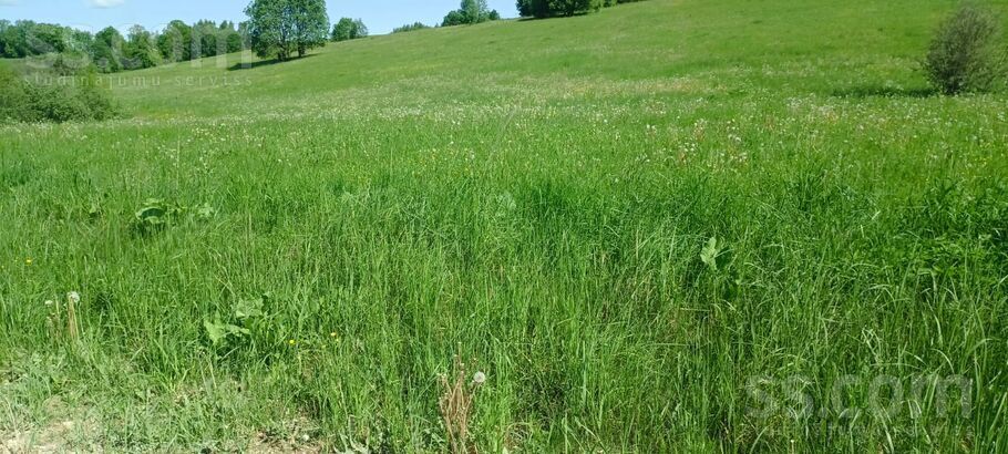 Miera iela, Prezma, Rēzekne un raj., Silmalas pag. — zeme