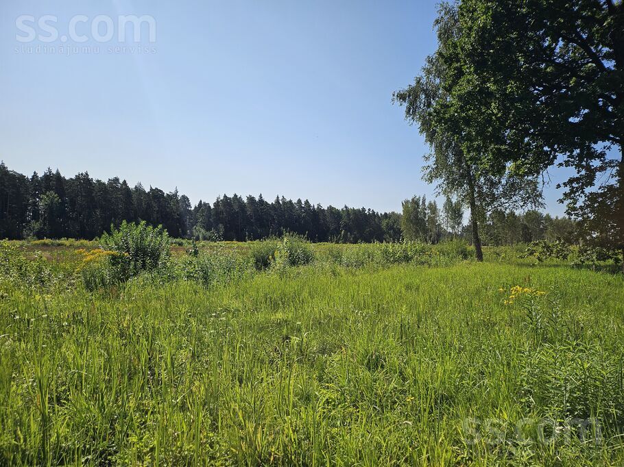 Jaunzelmeņi, Brankas, Jelgava un raj., Cenu pag. — zeme