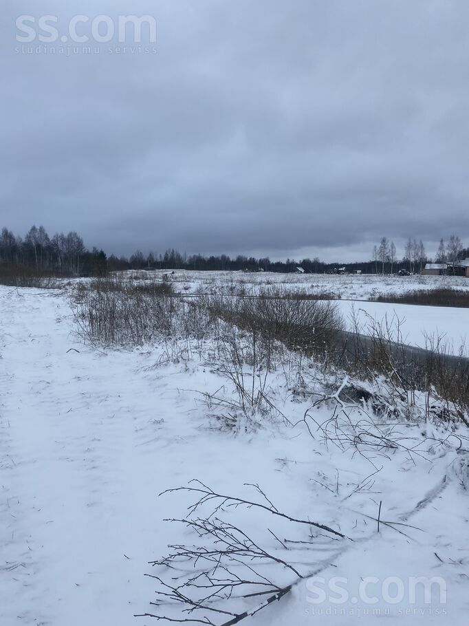 Biķernieki 1, Biķernieki, Daugavpils un raj., Biķernieku pag. — zeme