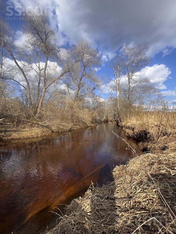 Rauza, Valka un raj., Palsmanes pag. — vienseta