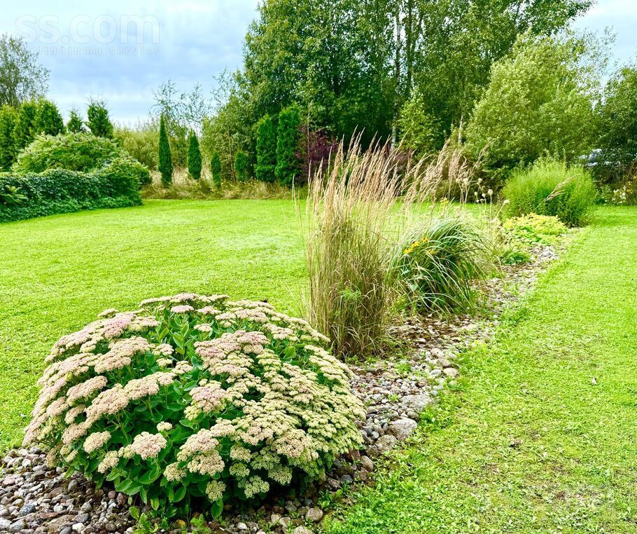 Efejas, Liepupe, Limbaži un raj., Liepupes pag. — maja